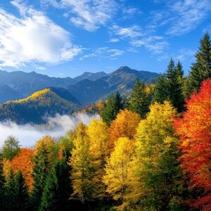 Meet your Posher, Wassim